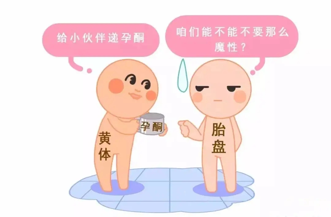 HCG和孕酮低一定會(huì)流產(chǎn)？備孕女性必須知道的孕早期“秘密”